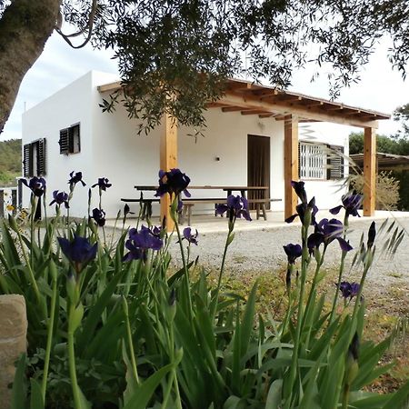 Sa Vinya Casa De Campo Es Cubells Ngoại thất bức ảnh
