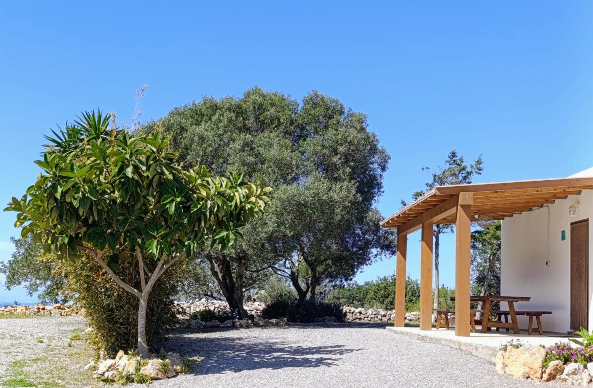 Sa Vinya Casa De Campo Es Cubells Ngoại thất bức ảnh